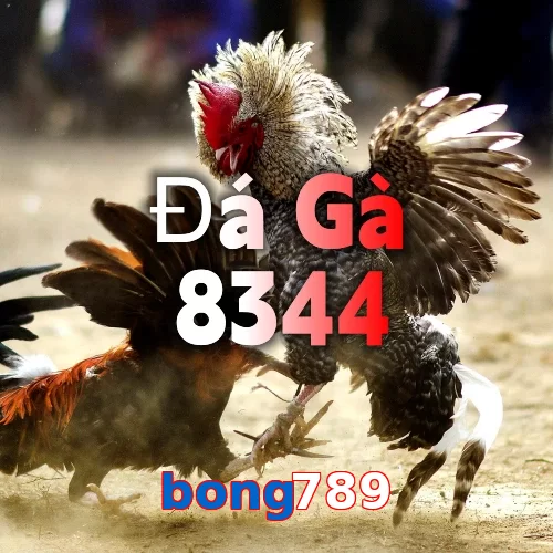 bong789