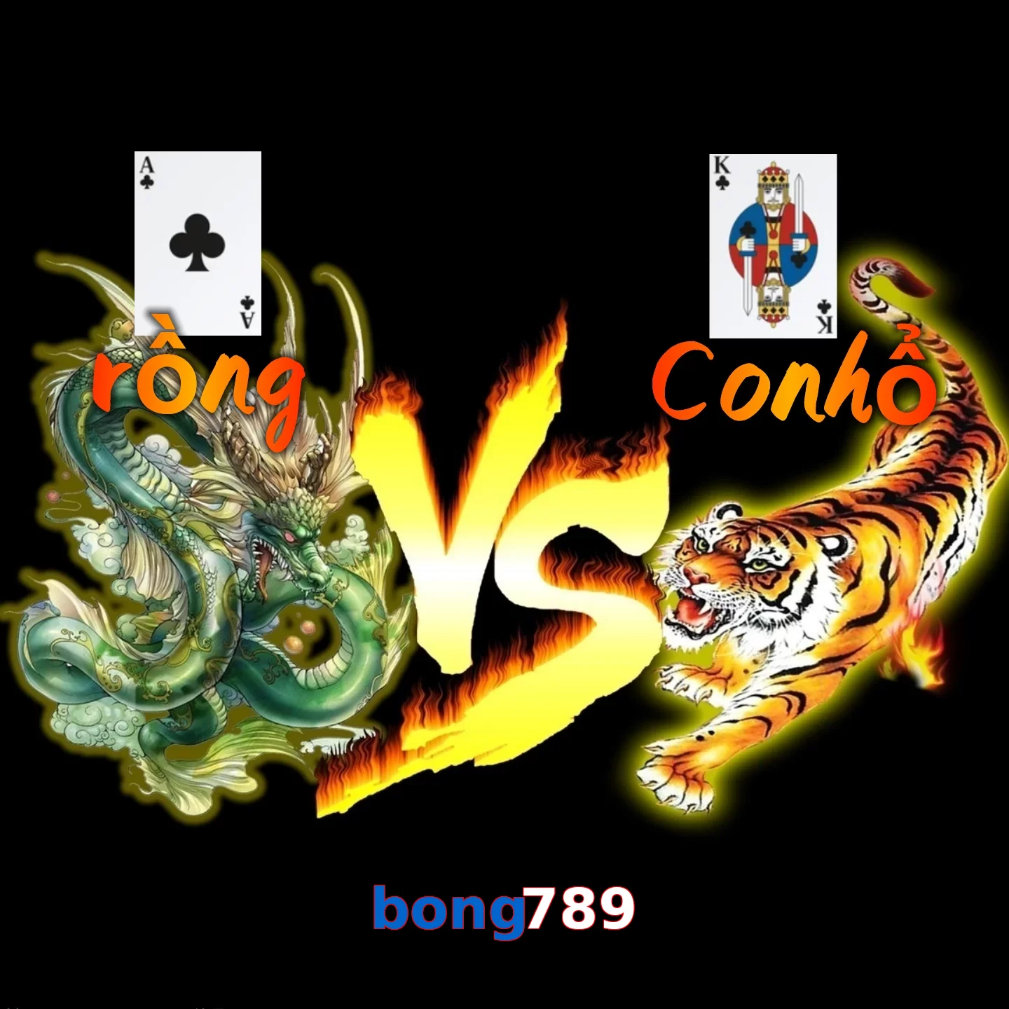bong789